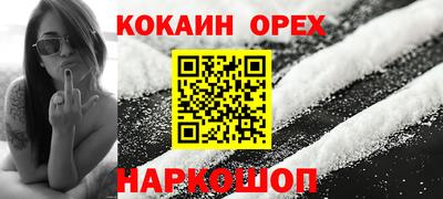 apvp Кингисепп