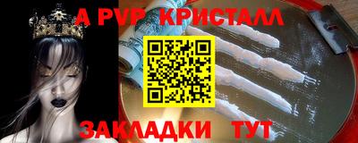 apvp Кингисепп