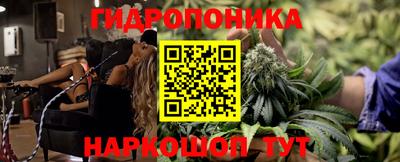 apvp Кингисепп