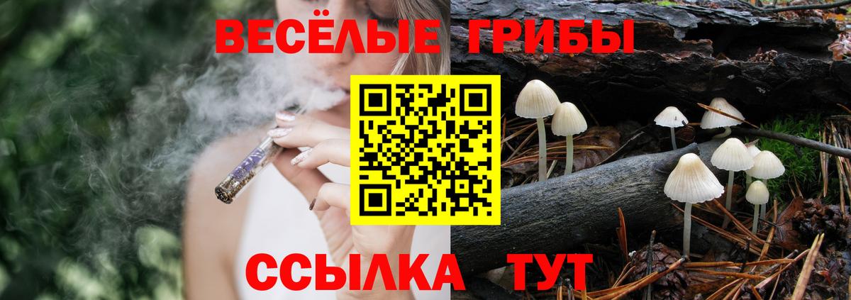 Псилоцибиновые грибы мицелий  Вход с VPN  Галлюциногенные грибы Magic Shrooms  Углич 